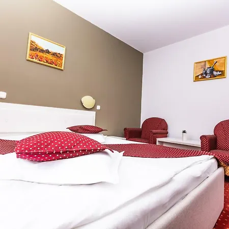 Hotel Miraj - Restaurant & Sauna & Biliard 4*